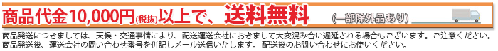 商品代金税抜10000円以上送料無料-除外有り