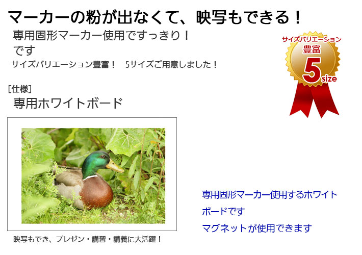 ʴ���Фʤ��ƱǼ̤�Ǥ���ۥ磻�ȥܡ��ɾ��ʸ��Ф�